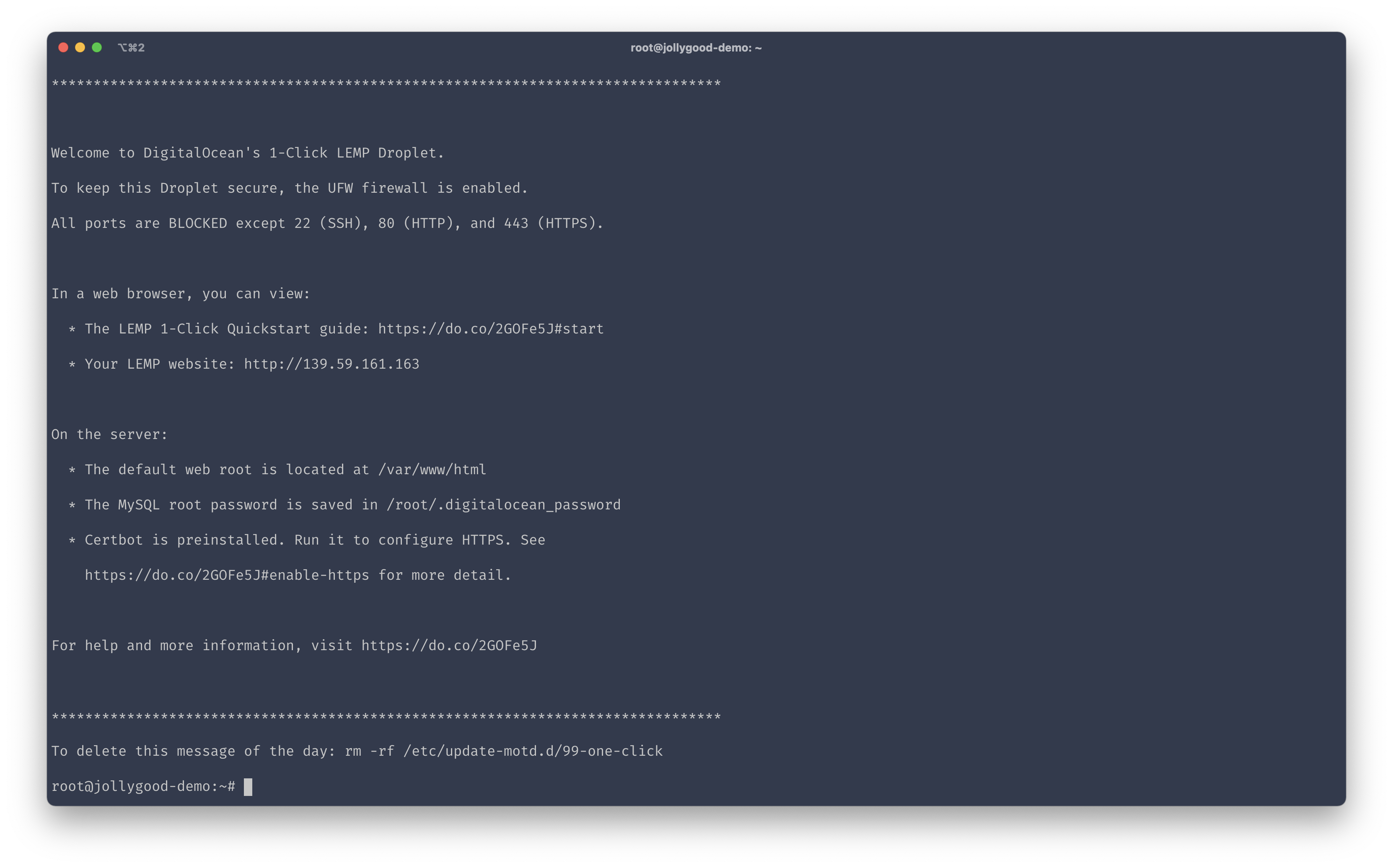 Screenshot of terminal logged in to server.