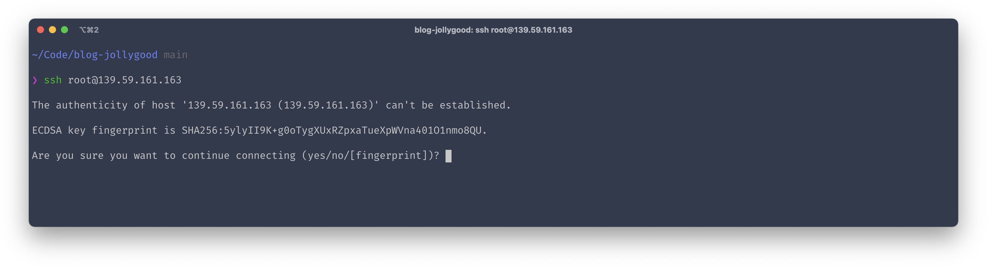 Screenshot of terminal asking for the authenticity of IP address before connecting to the server.