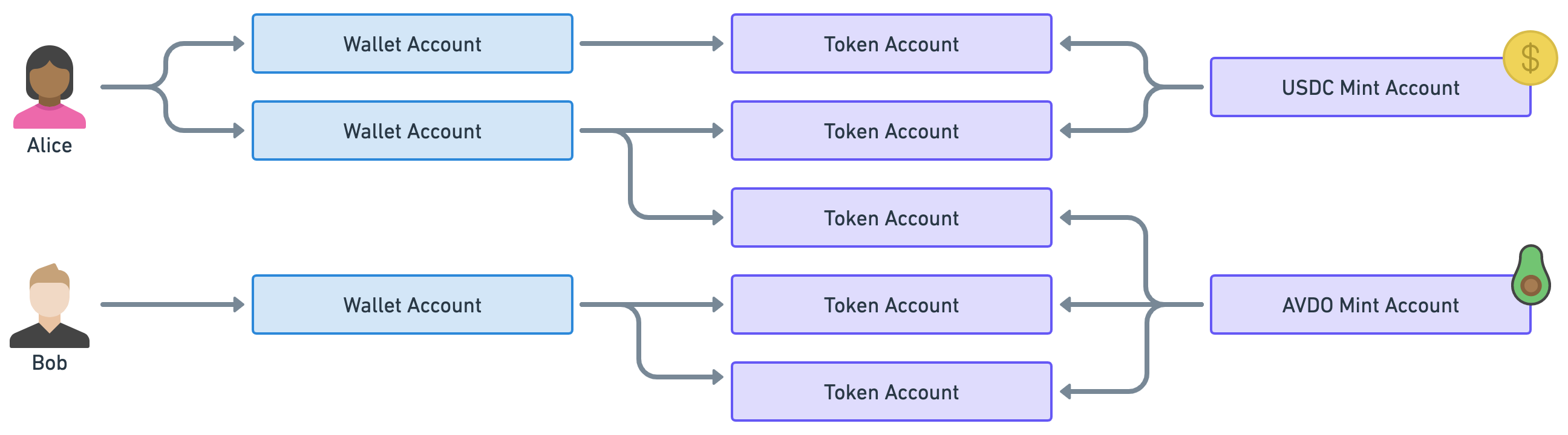 Example diagram showing Alice owning two wallet accounts. The first one is linked to the “USDC Mint Account” via one token account. The second one is linked to the USDC and AVDO Mint Accounts via one token account each. Bob owns only one wallet account that is linked to AVDO via two token accounts.
