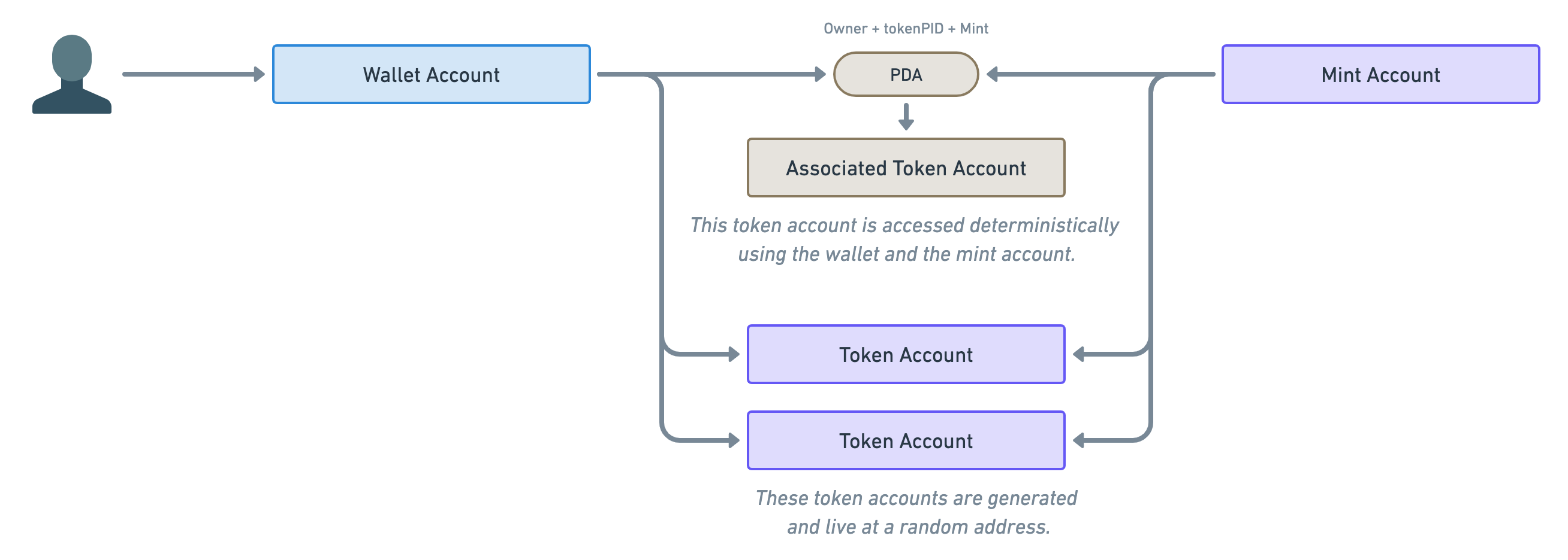 Diagram showing a user icon pointing to a wallet account which connects to a mint account through different ways. The first way is using a PDA. The wallet account and the mint account both point to a PDA pill which points to a brown rectangle labelled “Associated Token Account”. Above the PDA pill is written, “Owner + tokenPID + Mint” representing the seeds of the PDA. Below the “Associated Token Account” rectangle reads “This token account is accessed deterministically using the wallet and the mint account.” The second way wallet and mint accounts are linked together is via two normal “Token Accounts” displayed in purple rectangles. Below these two accounts reads “These token accounts are generated and live at a random address.”.